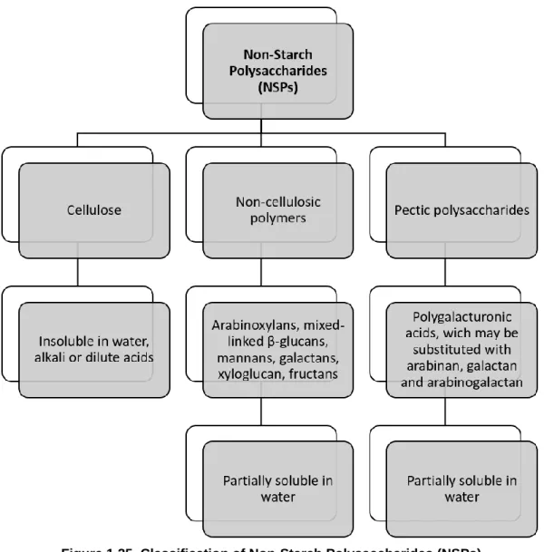 Figure 1.25. Classification of Non-Starch Polysaccharides (NSPs). 