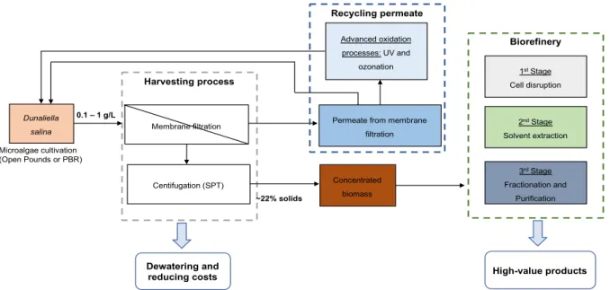 Figure 1.2. Schematic representation of several tasks involved in this PhD work.
