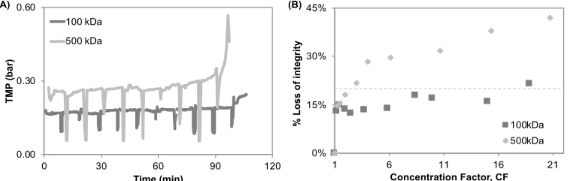 Figure 3.2. Graphical representation of (A) transmembrane pressure (TMP, bar) plotted against time and (B)  percentage of loss of integrity during the membrane harvesting using membranes with different MWCO, plotted  against the concentration factor, CF (-