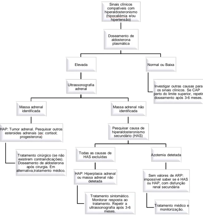 Figura 4- Algoritmo para diagnóstico de hiperaldosteronismo sem recurso ao doseamento da atividade  da renina plasmática