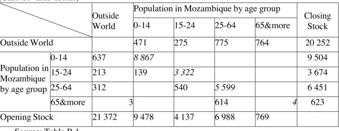 Table 7: SDM for Mozambique in 2007 – first level of disaggregation: by age group. 