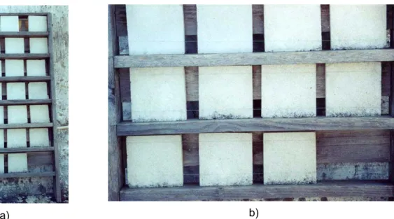 Figure 1: Samples photographed in 2001 (a) Original disposition of the samples on the rack after two and a half year exposure