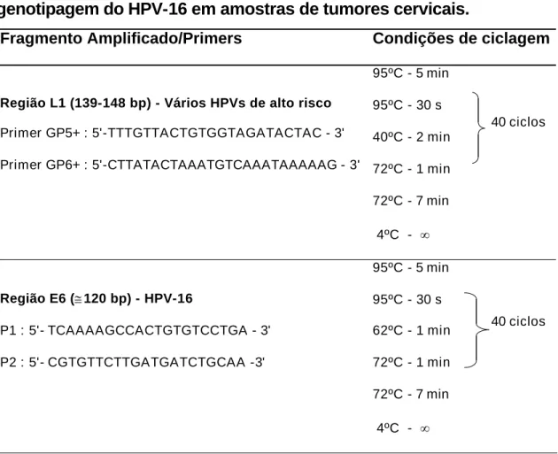 Tabela 1. Descrição dos primers, tamanho dos replicons e protocolos  de ciclagem usados no ensaio de PCR para a detecção de HPV e  genotipagem do HPV-16 em amostras de tumores cervicais.