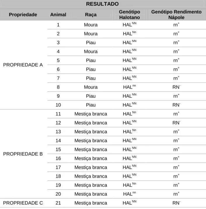 Tabela  5:  Apresentação  dos  resultados  de  acordo  com  as  propriedades,  animais  coletados,  raça e a frequência  genotípica  do Gene Halotano e  Rendimento Nápole de  52  suínos  provenientes  da  coleta  de  sangue  de  propriedades  do  Distrito 