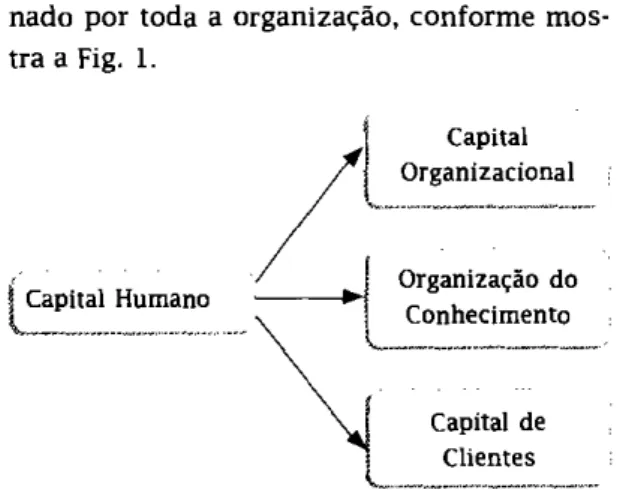 Figura 1 -Capital Humano dentro organização.