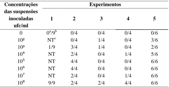 Tabela 4. Detecção molecular por Nested-PCR de Xanthomonas campestris pv. viticola  em folhas assintomáticas de videira inoculadas artificialmente 