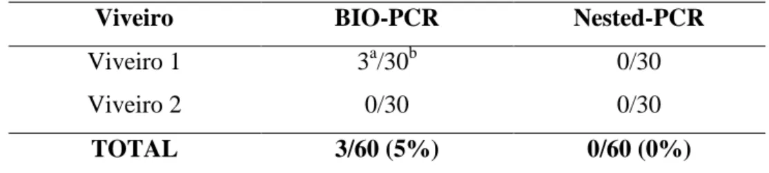 Tabela  7.  Detecção  molecular  por  PCR  de  Xanthomonas  campestris  pv.  viticola  em  folhas  de  videiras  assintomáticas  e  sintomáticas,  coletadas  em  áreas  de  produção  na  região do Vale do Submédio São Francisco, em janeiro de 2012 