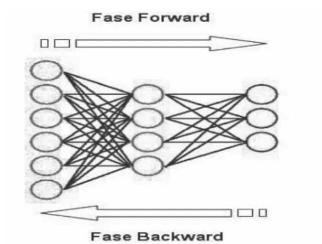 Figure 1: Two steps of backpropagation algorithm