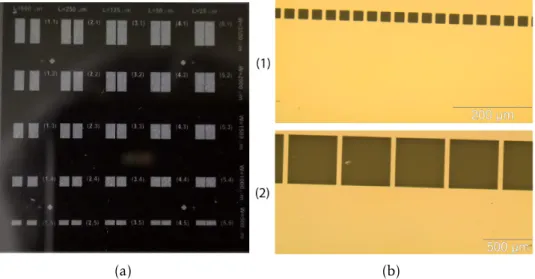 Figure 3.5: Single-step patterning lithography masks (a) rectangular contacts mask, (b) square contacts mask (1) 10µm spacing squares with 25 µm dimensions (2) 50µm spacing squares with 500µm dimensions.