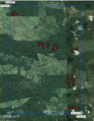 Figura 9. Localização dos pontos de controle antes da  supressão da vegetação em imagem do GoogleEarth® 