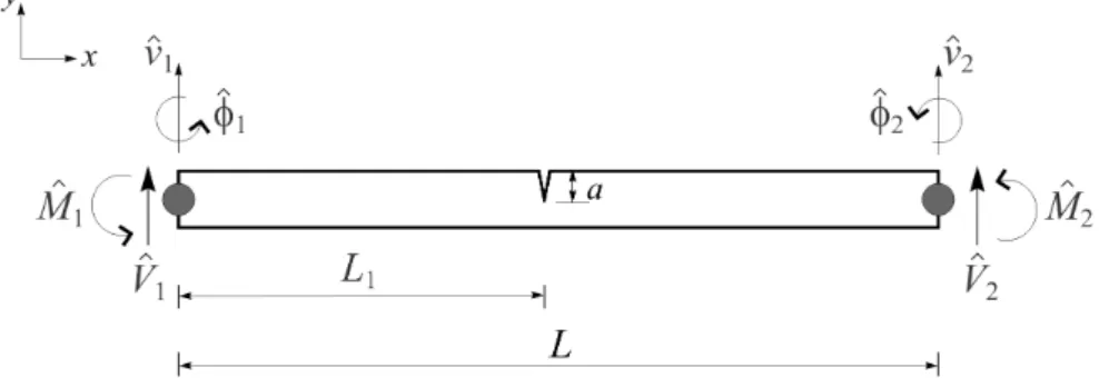 Figura 3.7 – Elemento espectral de viga trincado de dois nós como dois GDLs relacionados ao deslocamento e duas forças por nó.