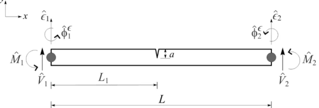 Figura 3.9 – Elemento espectral de viga trincado de dois nós como dois GDLs relacionados à deformação e duas forças por nó.