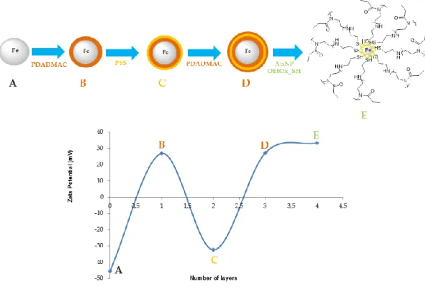 Figure 3.11 Zeta potential of the different layers, where the 4 th  layer corresponds to the  final nanoparticles 