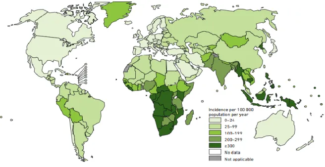 Figura 1 - Estimativa de TB em 2017, por 100 000 habitantes  