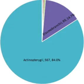 Figure 1. Number and percentage of the classes represented in the dataset.