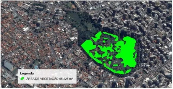 Figura 8:  Mapeamento da área de vegetação arbórea do parque Zoológico de Goiânia. 