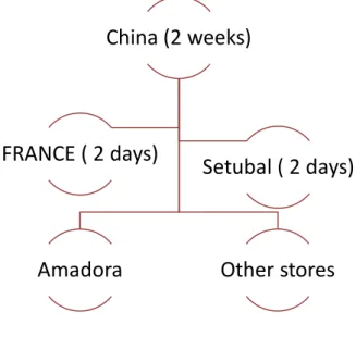 Graphic 10- Hierarchy of stock shipment at Decathlon Amadora 