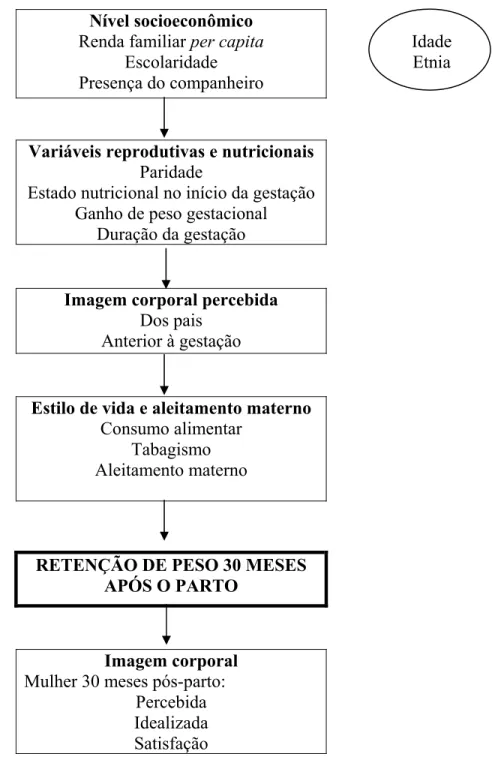 Figura 3 – Marco teórico de variáveis associadas à retenção de peso 30 meses pós-parto