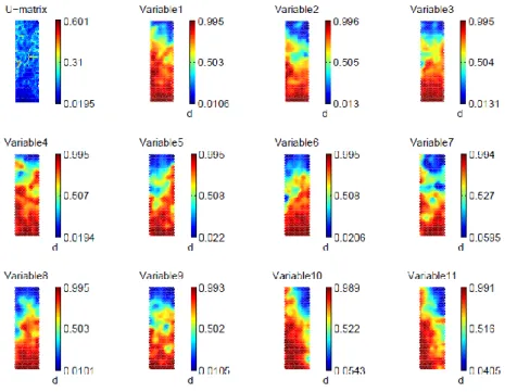 Figure 3 - U-MAT and component planes for Financial Data set A  