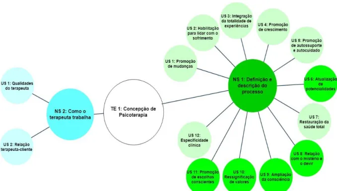 Figura 1. Concepção de Psicoterapia: núcleos e unidades de sentido.  