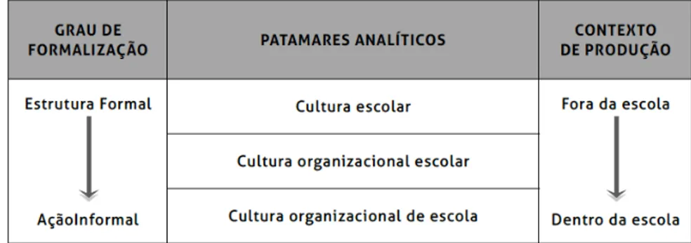 Figura 1: Patamares analíticos da cultura 