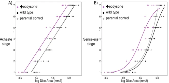 Figure 1.1: Achaete and Senseless differ in their relationship with disc size. A) The relationship between Achaete stage  and log 10  Disc Area best fits a linear model