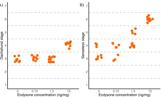 Figure 1.3: Dachshund and Senseless show differences in sensitivity to ecdysone. Larvae in which the prothoracic gland  has been genetically ablated (PGX) to eliminate ecdysone production were fed on a range of ecdysone concentrations  starting 55 h after 