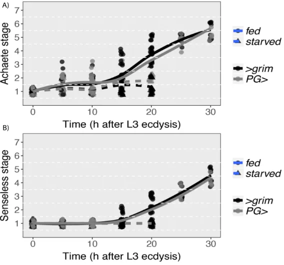 Figure 3.3: Achaete and Senseless patterning rates in wing discs of fed and starved  female control  larvae