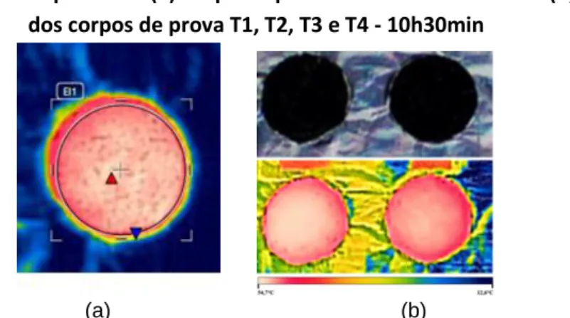 Figura 3: Medição de temperatura: (a) Corpo de prova no software FLIR tool (b) Termograma  dos corpos de prova T1, T2, T3 e T4 - 10h30min 