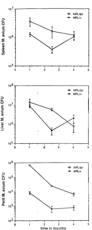Figure 4. Comparative kinetics of M. avium infection in MRL/ 
