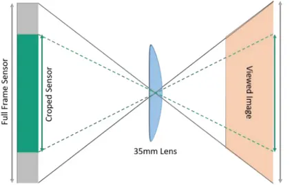 Figure 2.3: Schematics of the AFOV representation for two cameras using the same lens and sensors with different sizes.