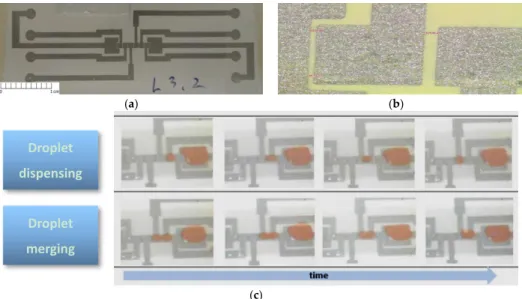 Figure 8. (a) DMF device screen-printed on paper substrate; (b) Zoom view of the printed electrodes; 