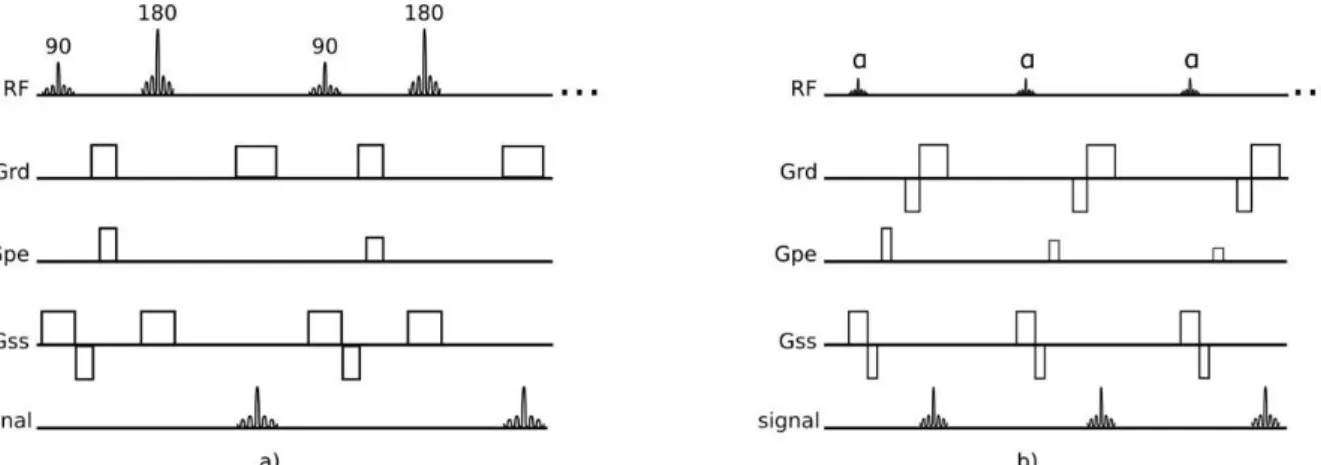 Figure  6 - Spin Echo pulse sequence (a) and Gradient - echo pulse sequence (b). There are 5 events that compose the pulse  sequence: radio frequency pulses (RF), readout gradient axis (G rd ) , phase - encode gradient axis (Gpe), slice - selection gradien