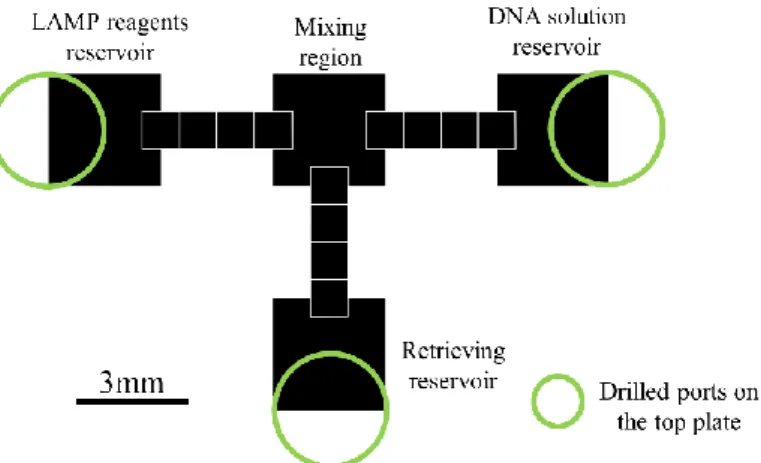 Figure 3.7: Digital microfluidics device layout, evidencing the various regions that comprise the chip, as well as  the location of the inlet/outlet ports, drilled on the top plate