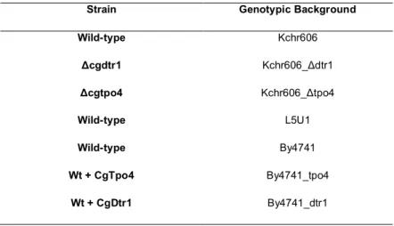 Table 1: C. glabrata strains used to assess stress resistant responses and host-pathogen interactions 