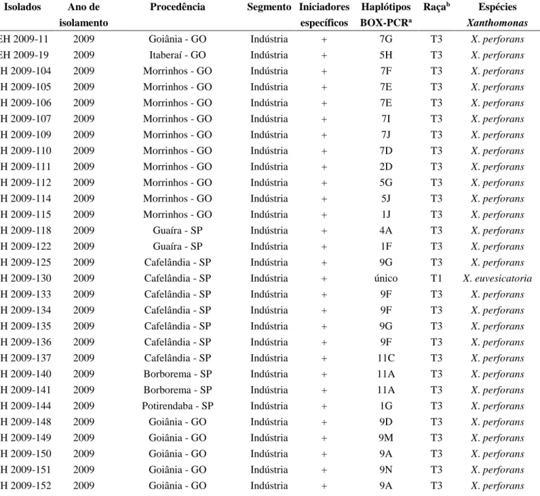 Tabela 1. Código, ano de isolamento, procedência, segmento, identificação molecular e determinação  da raça de 204 isolados de Xanthomonas causadoras da mancha-bacteriana do tomateiro.