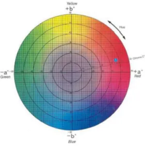 Figura  1  Representação  L,  a,  b  Color  Solid  do  sistema  Hunterlab  Universal  Software  e  descrição do ângulo hue (°h*) e do índice de saturação croma (C*)