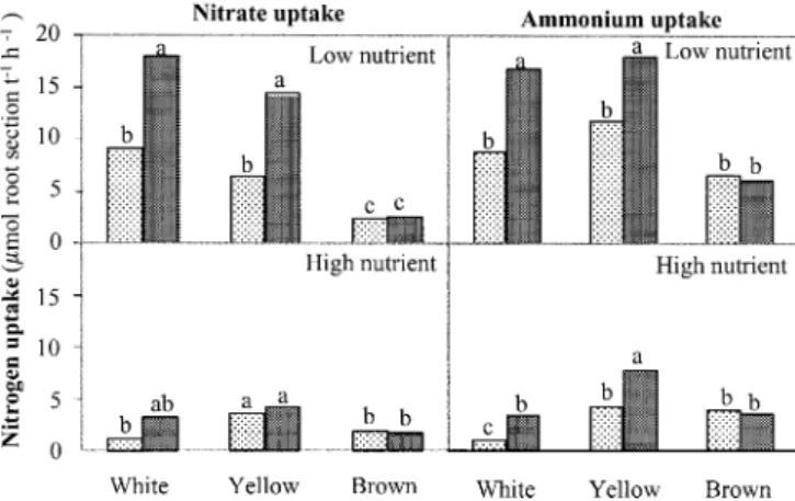 Fig. 5 Plant nitrogen (N) and phosphorus (P) content according to the nutrient level in the root medium