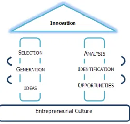 Figure 2: The Entrepreneurial Behaviour 