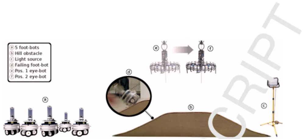 Figure 4: The experimental setup of the hill-crossing task. Five foot-bots are shown in the deployment area