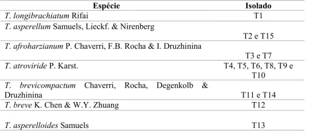 Tabela 1- Espécies e isolados de Trichoderma obtidos de solo de sistemas agroflorestais de localidades  do Estado de Pernambuco