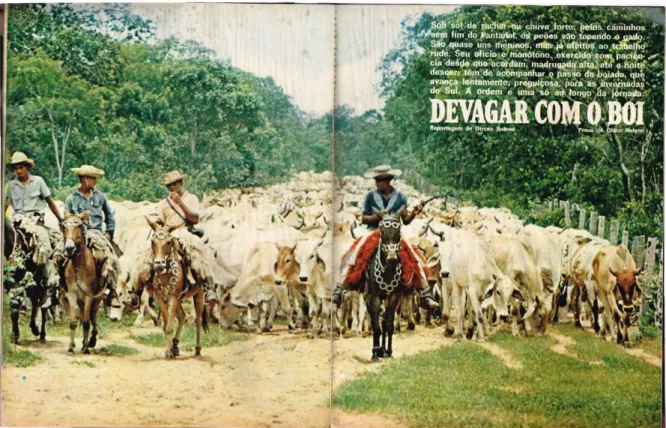 Figura 4 - Devagar com o boi, Revista Realidade, nº 37, abr. 1969, p. 60-61 