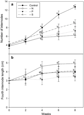 Fig. 1    Average number of shoot internodes (a) and length of the  fourth internode (b) of V