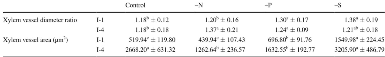 Table 1    Measured xylem vessel diameter ratio (ratio between the  longer and its shorter diameter) and area of V