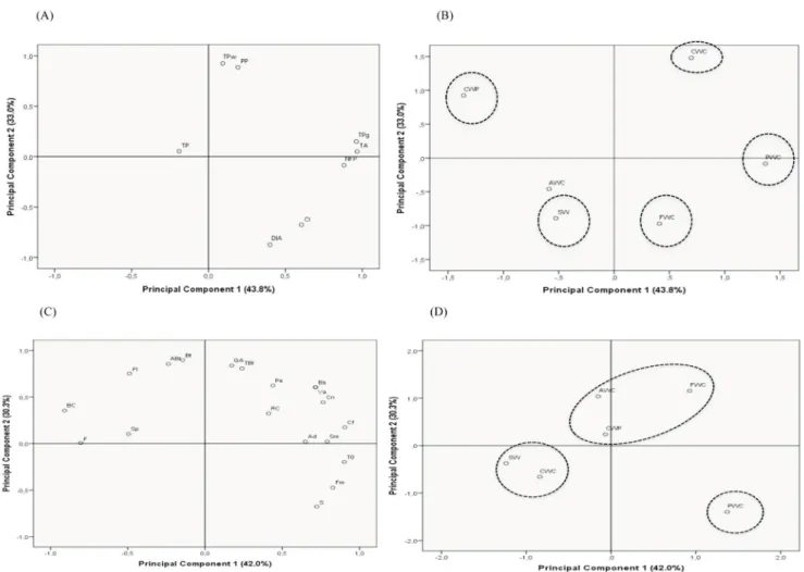 Figure 6 - Principal component analysis (PC1 and PC2) for phenolic parameters (A - loading plots and B - score plots) and sensory analysis (C - loading plots and D - score plots) in red wines aged in contact with different wood chip species