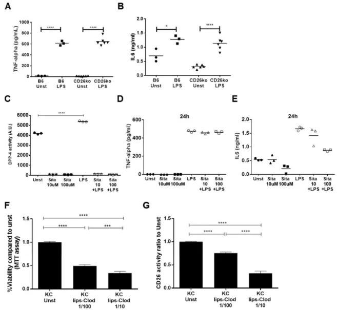 Fig. 7. Genetic ablation or pharmacologic inhibition of CD26/DPP-4 enzymatic activity does not prevent Kupffer cell activation in  vitro