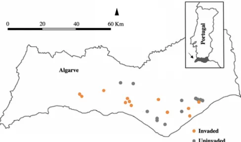 Figure 1. Map of the Algarve region with the invasion status of sampled orchards. The orange dots  represent the invaded orchards by the Argentine ant, while grey dots represent uninvaded orchards