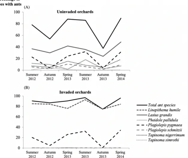 Figure 4. Seasonal variation in the percentage of trees with the most frequent ant species by season in  the uninvaded (A) and invaded orchards (B)