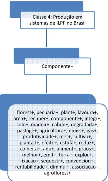 Figura 7: Fluxograma das principais palavras e radicais que compõem a Classe 4.