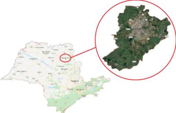 Figura 1: Localização do município de Ribeirão Preto em relação ao estado de São Paulo 